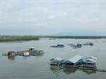 Thăm quan làng bè và đảo Gò Găng thơ mộng
